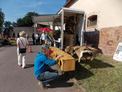 Jagtpachtgemeinde Mötzlich - Tornau