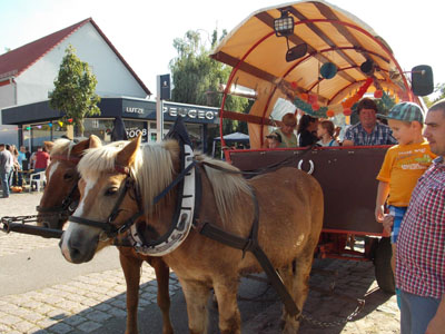 Pferdekutsche Andre Rehse