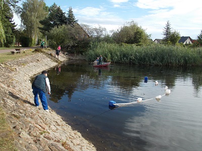 Teichreinigung in Mötzlich